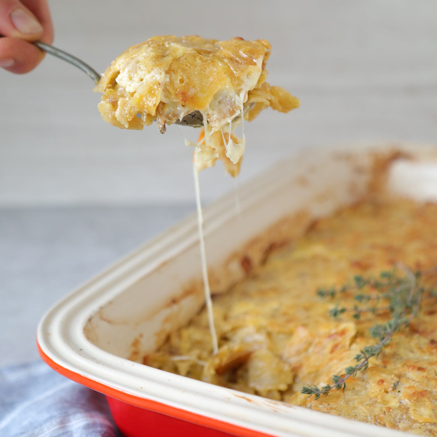 GUISO DE PAPITAS TIKA A LA CREMA (con alternativa vegana)